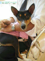 メーアちゃん　T