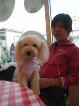 ちっちくん＆ちゃっぴーちゃん　T