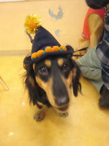 タケオくん＆イソロクくん　T　