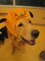 タケオくん＆イソロクくん　T　