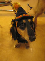 タケオくん＆イソロクくん　T　