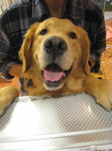 タケオくん＆イソロクくん　T　