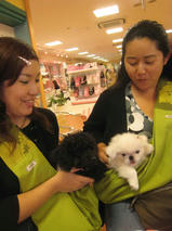 ベアくん＆ティンくん　T