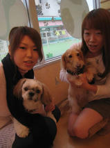 AQUOSくん＆ルアくん　T