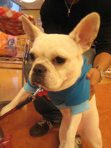 さくらんぼちゃん　T