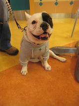 エフくん＆ビビちゃん　T