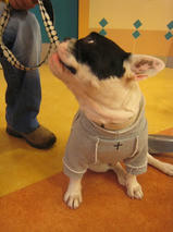 エフくん＆ビビちゃん　T