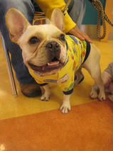 エフくん＆ビビちゃん　T