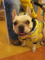 エフくん＆ビビちゃん　T