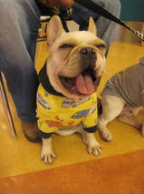 エフくん＆ビビちゃん　T