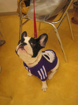 あずきちゃん　T