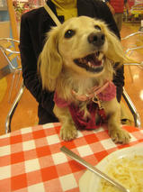 さくらちゃん　T