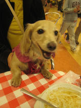 さくらちゃん　T