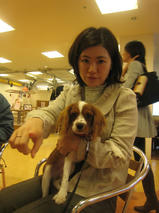 ジャイロくん　T