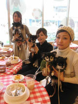 ルルちゃん＆イブちゃん＆ひなちゃん＆ゆずちゃん＆チョコちゃん＆ロコちゃん＆プー太くん　T
