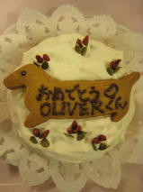 ＯＬＩＶＥＲくん　Ｔ