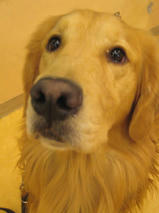 タケオくん＆イソロクくん　T