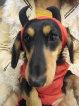 タケオくん＆イソロクくん　T