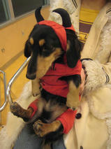 タケオくん＆イソロクくん　T