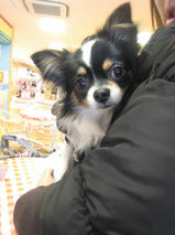 くう太くん＆もなかちゃん＆リクくん　T