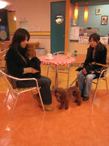 龍くん＆チョビくん　T