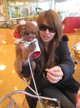 チョコちゃん　T