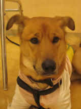 ジンくん＆レオくん　T