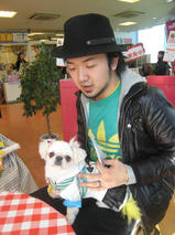 かわいいペキニーズちゃん　T