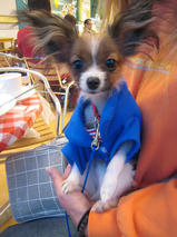 マロンちゃん＆アッシュくん　T