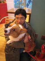 ランディくん　T