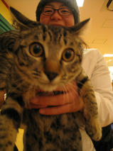 チビくん＆ミーミーちゃん　T