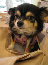 チョコくん＆ミクちゃん　T