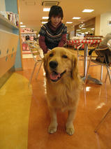 七海ちゃん　Ｔ