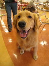 七海ちゃん　Ｔ