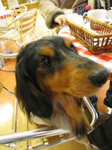 ビアッチくん＆レジアーニくん＆ロリスちゃん　