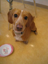 そらくん＆くうちゃん　T