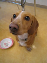 そらくん＆くうちゃん　T