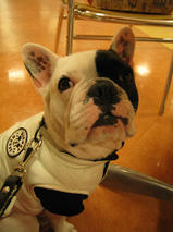 エフくん＆ビビちゃん　T