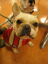 エフくん＆ビビちゃん　T