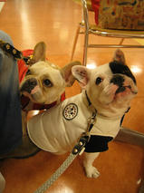 エフくん＆ビビちゃん　T