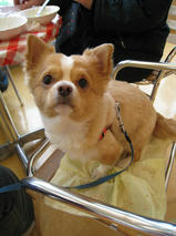 ラションくん＆カンナちゃん　T