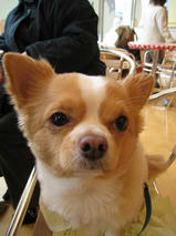 ラションくん＆カンナちゃん　T