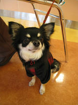 杏ちゃん＆花ちゃん　T