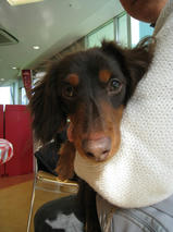 昊太（こうた）くん　T