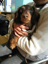 昊太（こうた）くん　T