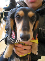 さくらちゃん　T