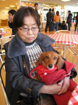 りんちゃん＆あんちゃん　T