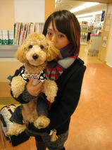 きなこちゃん　T