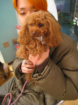 ミントちゃん＆ハッピーくん＆タッチくん＆ミリーちゃん　T