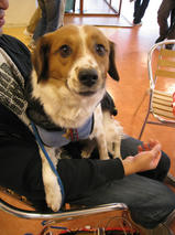 ピエールちゃん＆虎次郎（こじろう）くん　T